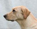20140713-shw-0603