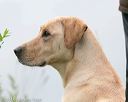 20140713-shw-0604