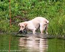 20140713-shw-0616