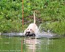 20140713-shw-0617