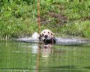 20140713-shw-0619