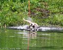 20140713-shw-0620