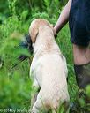 20140713-shw-0627