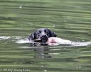20140713-shw-0641