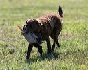 20140809-jhl-0044