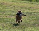 20140809-jhl-0048