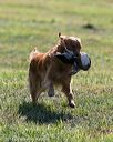 20140809-jhl-0051