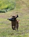 20140809-jhl-0056