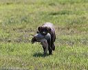 20140809-jhl-0063