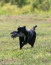 20140809-jhl-0077