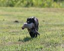 20140809-jhl-0106