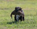 20140809-jhl-0121