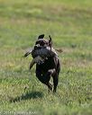 20140809-jhl-0202