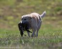 20140809-jhl-0289