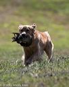 20140809-jhl-0312