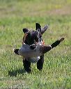 20140809-jhl-0412