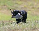 20140809-jhl-0529