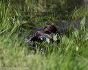 20140809-jhw-0034