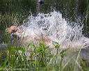 20140809-jhw-0177