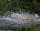 20140809-jhw-0386