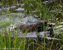 20140809-jhw-0592
