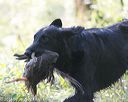 20140810-shl-0006