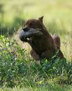 20140810-shl-0016