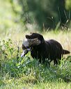 20140810-shl-0052