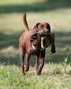20140810-shl-0104