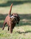 20140810-shl-0105