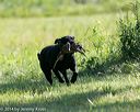 20140810-shl-0115