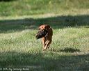 20140810-shl-0187