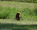 20140810-shl-0257