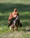 20140810-shl-0279