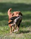 20140810-shl-0280