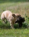 20140810-shl-0294