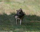 20140810-shl-0301