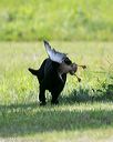 20140810-shl-0333