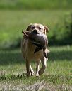 20140810-shl-0366