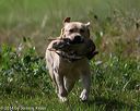 20140810-shl-0374