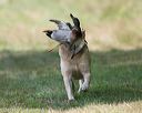 20140810-shl-0380