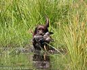 20140810-shw-0080