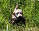 20140810-shw-0114