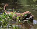 20140810-shw-0157