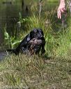 20140810-shw-0208