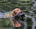 20140810-shw-0216