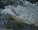 20140810-shw-0232