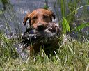 20140810-shw-0239