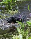 20140810-shw-0297