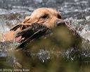 20140810-shw-0315